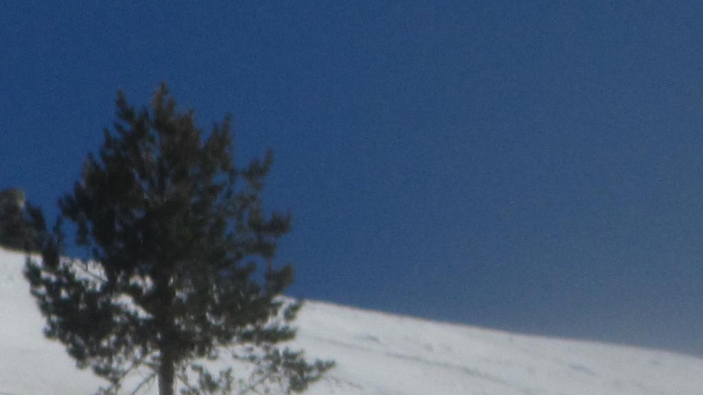 Kackar Pansiyon Yaylalar Eksteriør bilde